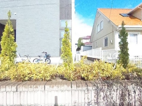 パノラマ