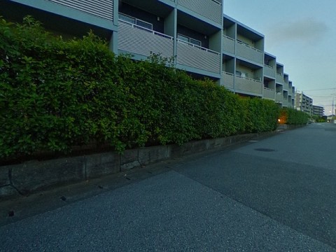 パノラマ