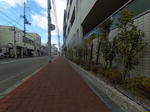 パノラマ