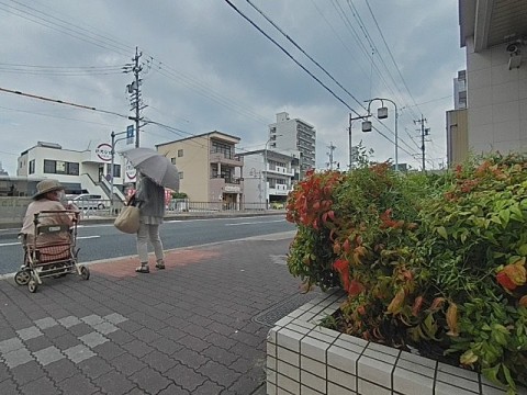 パノラマ