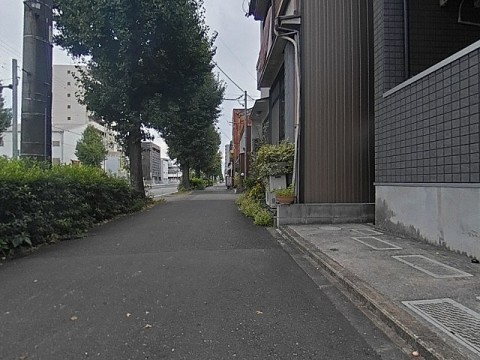 パノラマ