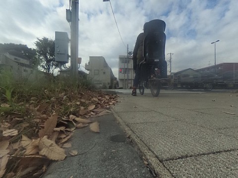 パノラマ