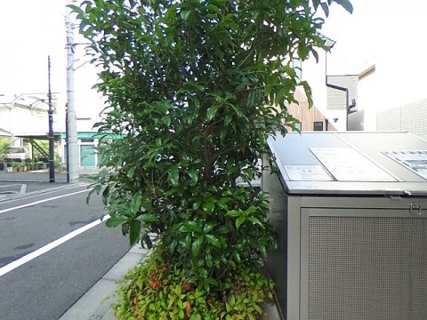 パノラマ