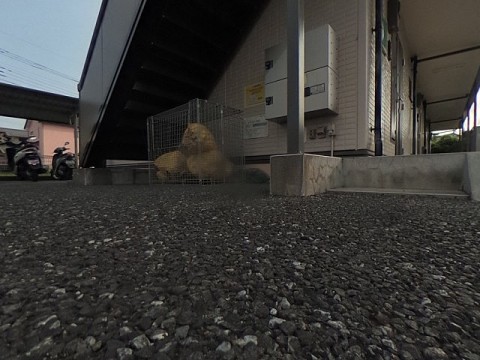 パノラマ