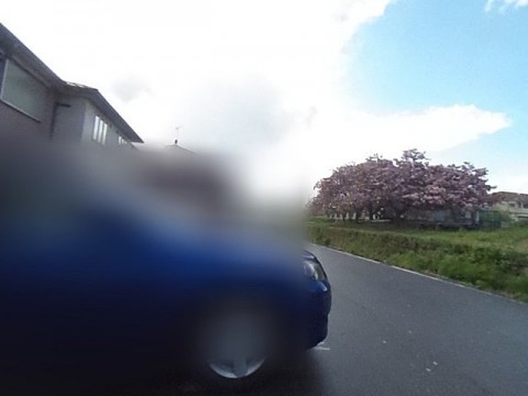 パノラマ