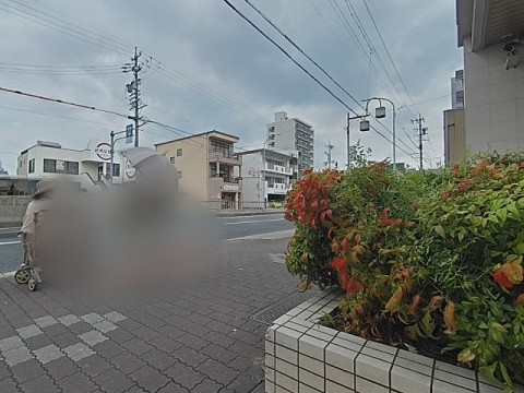 パノラマ