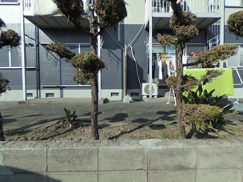 パノラマ