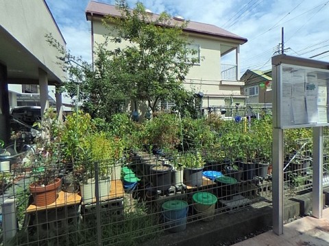 パノラマ