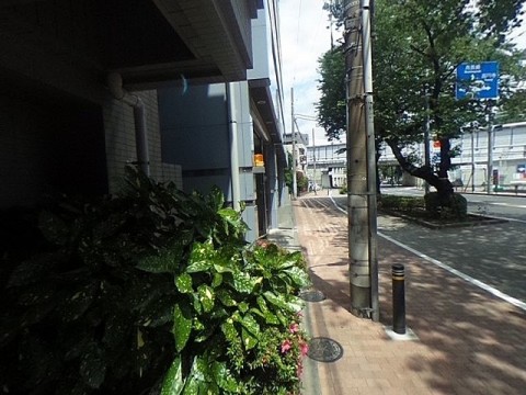 パノラマ