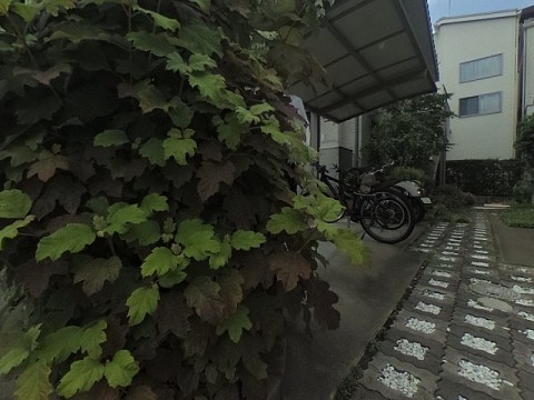 パノラマ