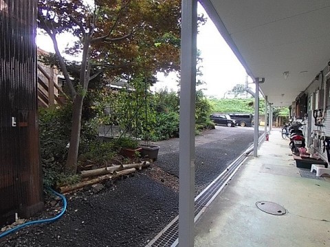 パノラマ
