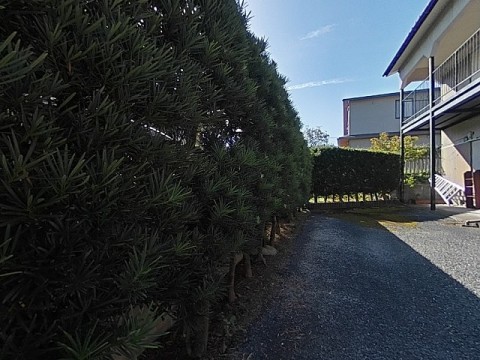 パノラマ