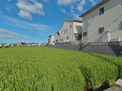 パノラマ