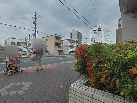パノラマ