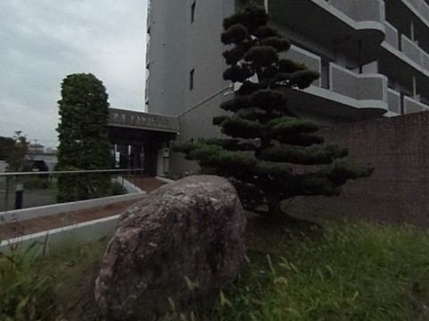パノラマ