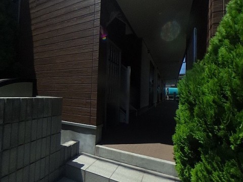 パノラマ