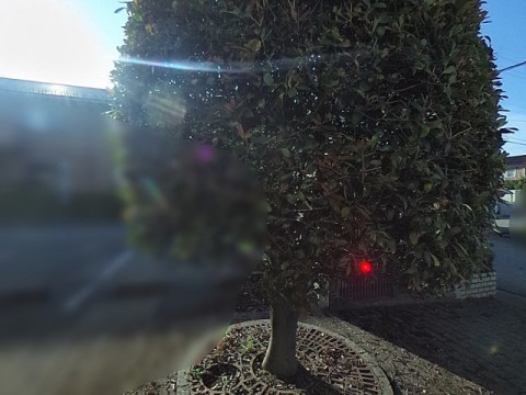 パノラマ