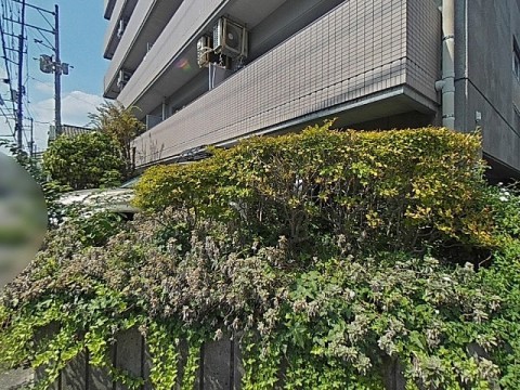 パノラマ