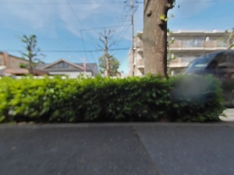 パノラマ