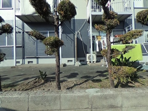 パノラマ