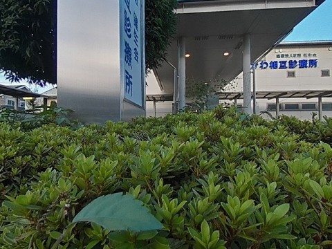 パノラマ