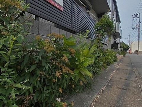 パノラマ