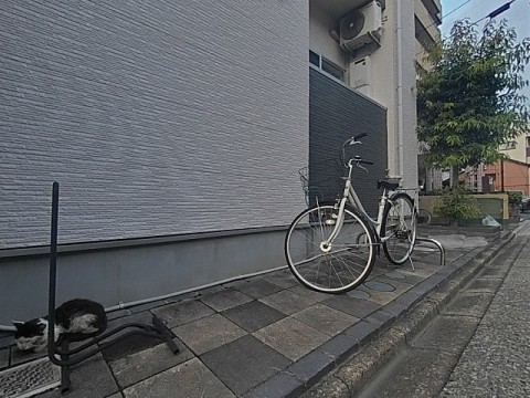 パノラマ