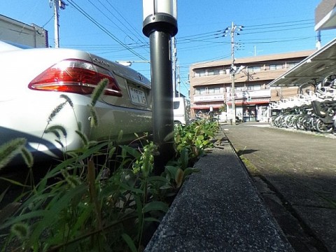 パノラマ
