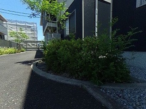 パノラマ
