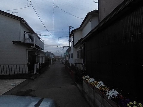 パノラマ