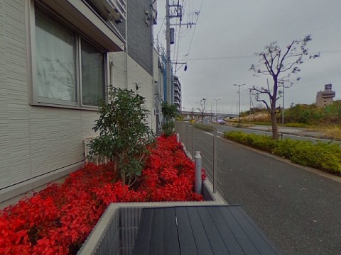 パノラマ