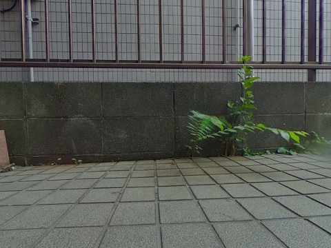 パノラマ