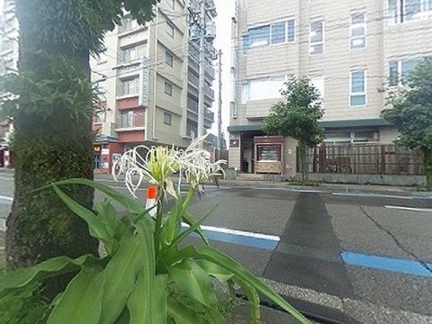 パノラマ