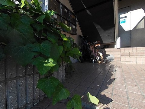 パノラマ