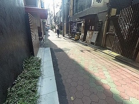 パノラマ