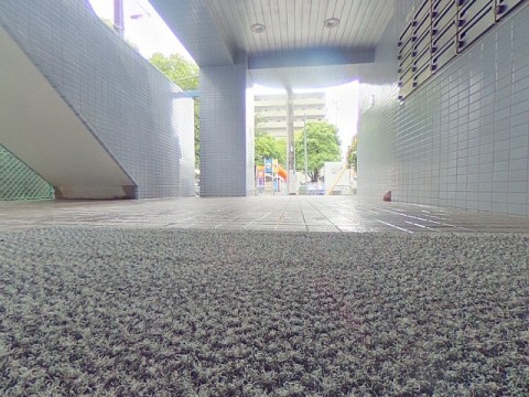 パノラマ