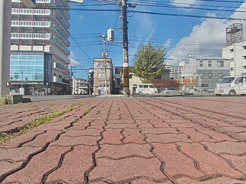 パノラマ