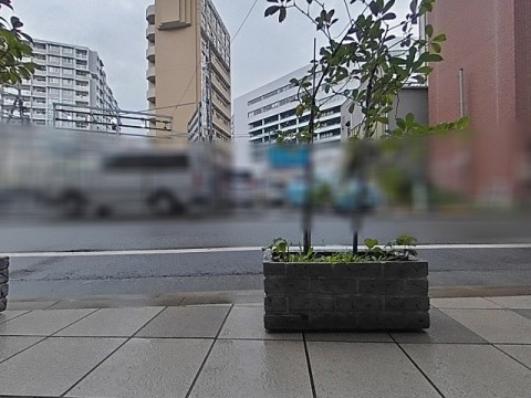 パノラマ
