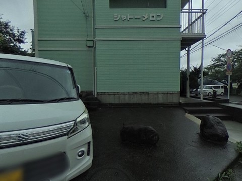 パノラマ