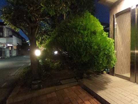 パノラマ