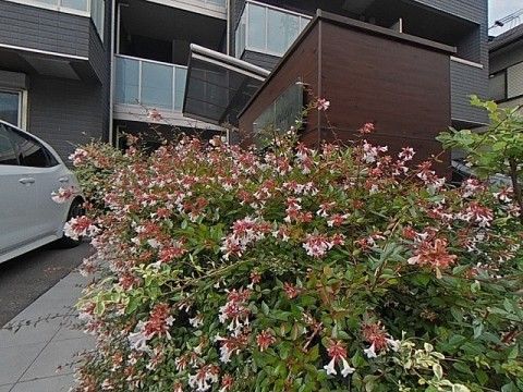 パノラマ