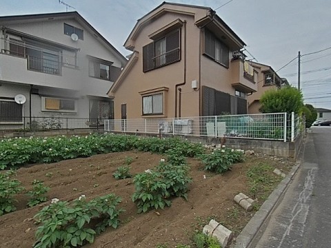 パノラマ