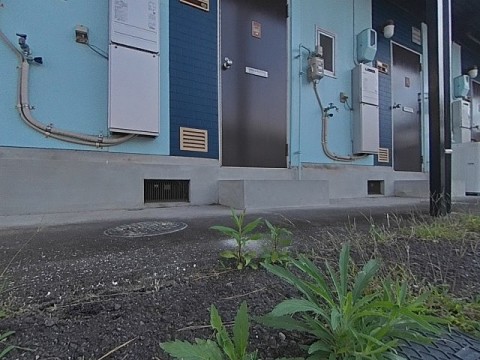 パノラマ