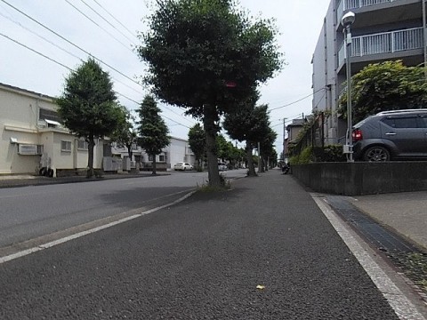 パノラマ