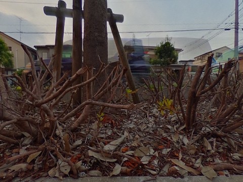 パノラマ