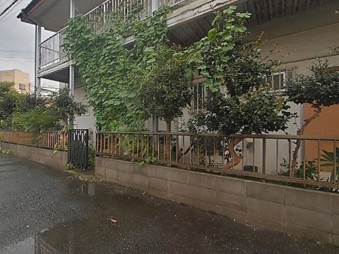 パノラマ
