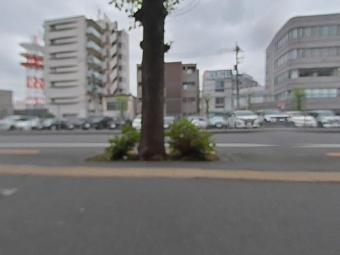 パノラマ