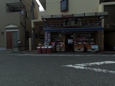 パノラマ
