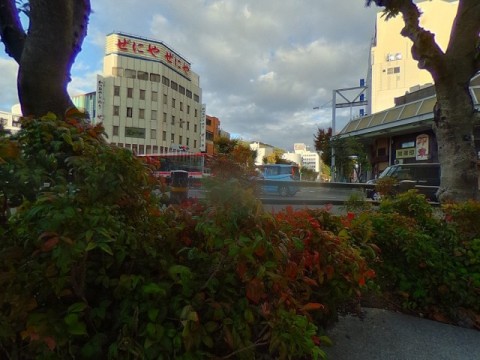 パノラマ