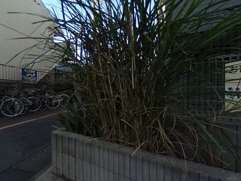 パノラマ